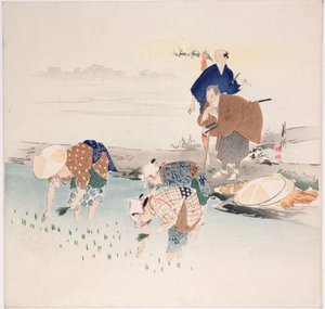 Risplanting, ca. 1890-1900-tallet (treblokktrykk i farger)